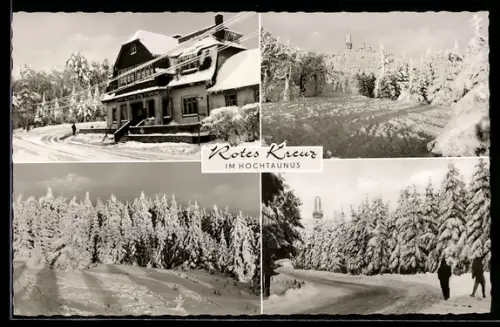 AK Grosser Feldberg im Hochtaunus, Gaststätte und Pension Rotes Kreuz und Waldpartien im Schnee