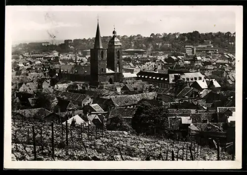 AK Neustadt a. Weinstrasse, In den Weinbergen mit Kirche