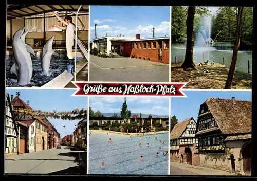 AK Hassloch /Pfalz, Delphinarium, Bahnhof, Vogelpark