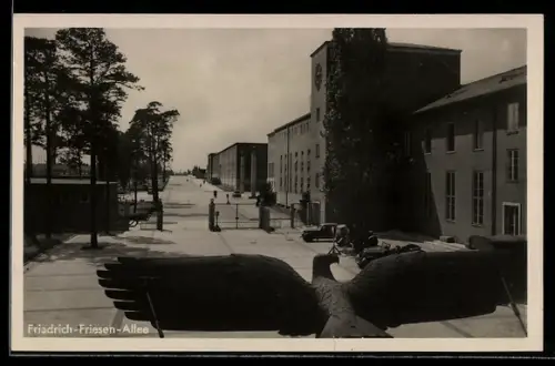 AK Berlin-Charlottenburg, Reichssportfeld, Friedrich-Friesen-Allee