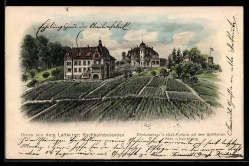 Lithographie Kirchheimbolanden, Erholungsheim, Kurhaus auf dem Schillerhain, Blick v. Kahlerberg