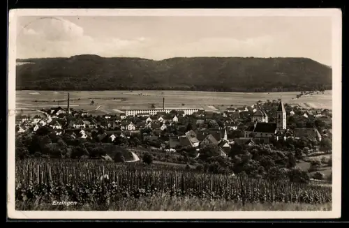 AK Erzingen, Ortsansicht mit Kirche und Weinbergen