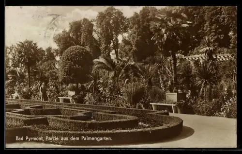 AK Bad Pyrmont, Partie aus dem Palmengarten