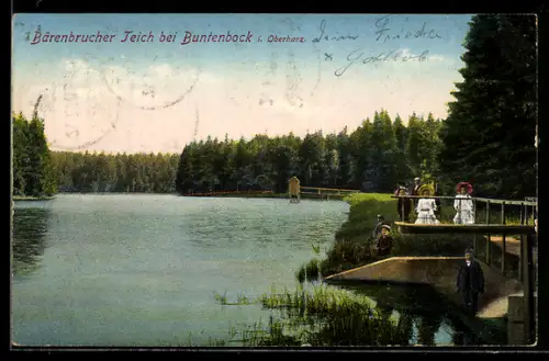 AK Buntenbock i. Oberharz, Bärenbrucher Teich, Steg, Spaziergänger