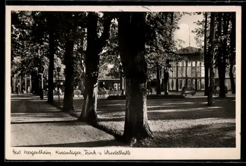 AK Bad Mergentheim, Kuranlagen, Trink- und Wandelhalle