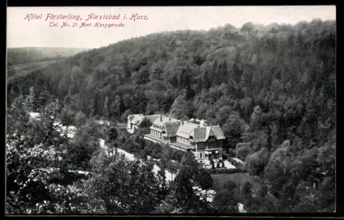 AK Alexisbad i. Harz, Hotel Försterling