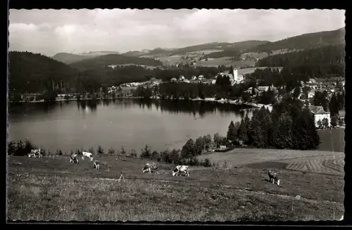 AK Titisee i. Schwarzwald, Teilansicht mit Kirche