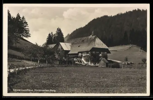 AK Hinterzarten-Steig, Schwarzwaldhaus