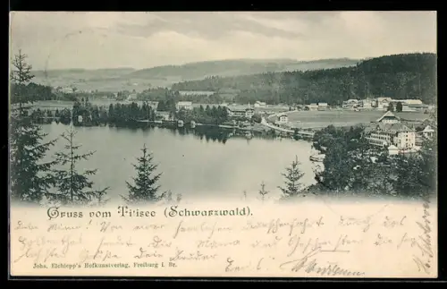 AK Titisee /Schwarzwald, Totalansicht von einen Berg aus