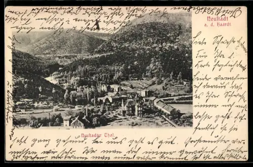 AK Neustadt a. d. Haardt, Neustadter Thal