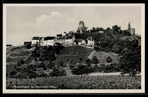 AK Neuleiningen, Ortsansicht