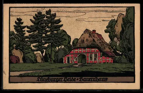 Steindruck-AK Bauernhaus in der Lüneburger Heide