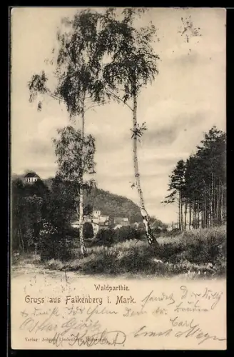 AK Falkenberg i. Mark, Waldpartie mit Birken