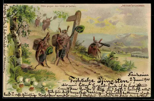 Lithographie Maikäfer auf einer Wanderung, Mondschein bei Halt gegen das Licht