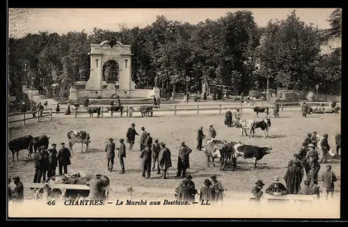 AK Chartres, Le Marché aux Bestiaux