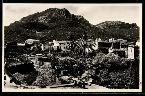 AK Mallorca, Ortsansicht mit Bergkulisse und Palme