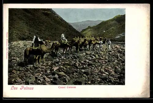 AK Las Palmas, Camel Caravan
