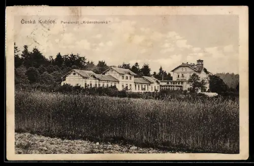 AK Ceská Kubice, Pensionat Krásnohorská