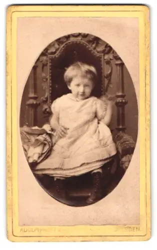 Fotografie Adolph Hoffmann, Dresden, Zeughausstrasse, Kleinkind auf kunstvollem Stuhl