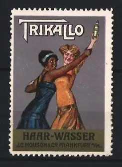 Reklamemarke Frankfurt / Main, Trikallo Haar-Wasser, Frauen streiten um Flasche