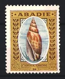 Reklamemarke Abadie Zigarettenpapier, V. Muscheln, Schnecken, Muschelabbildung