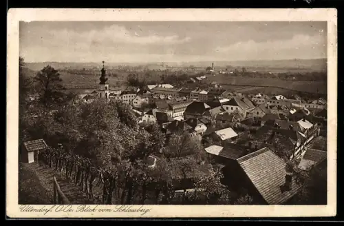 AK Uttendorf, Blick vom Schlossberg auf den Ort