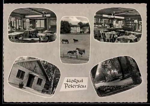 AK Frankenthal, Petersau, Gaststätte Zum Jagdhorn, Innenansichten