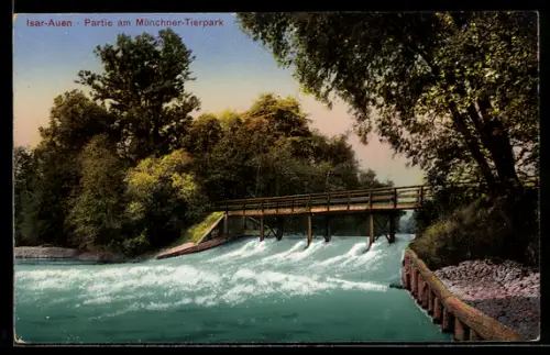 AK München, Isar-Auen, Partie am Münchner Tierpark