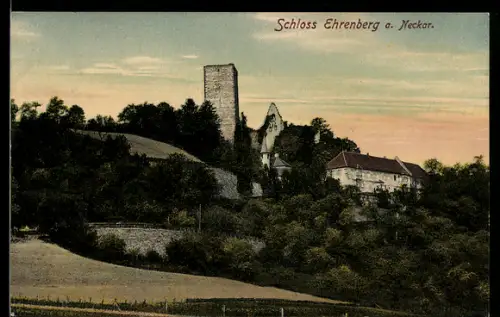 AK Heinsheim, Burg Ehrenberg a. Neckar, Ruine und Kapelle