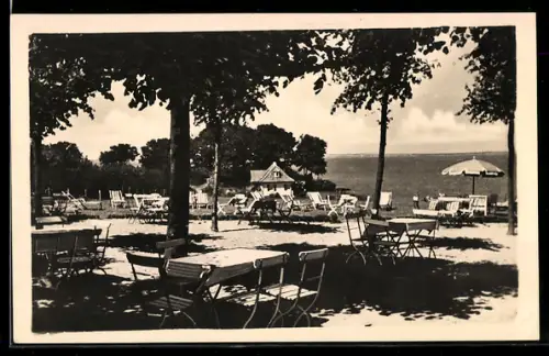 AK Travemünde, Restaurant und Café Hermannshöhe, Bes. B. Beythien, Liegewiese