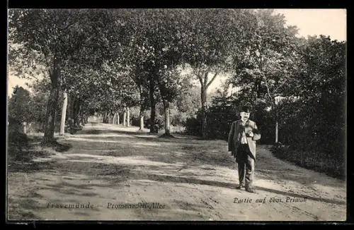AK Travemünde, Spaziergänger in der Promenaden-Allee auf dem Priwall
