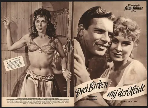 Filmprogramm IFB Nr. 3534, Drei Birken auf der Heide, Margit Saad, Sonja Sutter, Helmut Schneider, Regie: Ulrich Erfurth