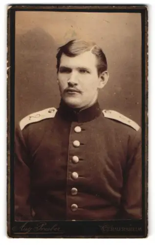 Fotografie Aug. Presber, Germersheim, Soldat vom Regiment Nr. 2 in Uniform