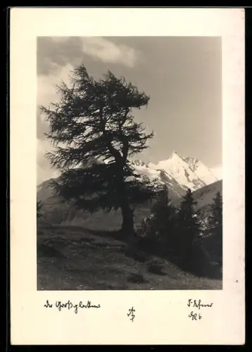 Foto-AK Adalbert Defner: Grossglockner, Blick vom Berghang auf den Gipfel des Grossglockner