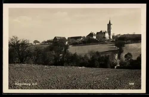AK Hargelsberg /O.Ö., Panorama mit Kirche und Gehöften