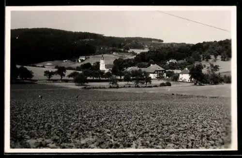 Foto-AK Dörnbach /O. Ö., Panorama mit Kirche und Gehöften