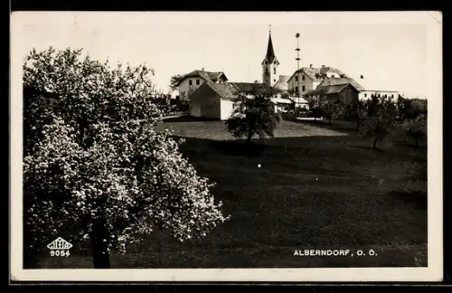 AK Alberndorf /O. Ö., Panorama mit Kirche und Häusern