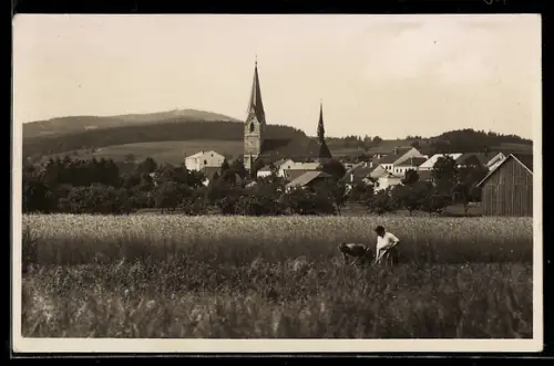 AK Leonfelden /O.-Oe., Teilansicht mit Kirche und Sternstein