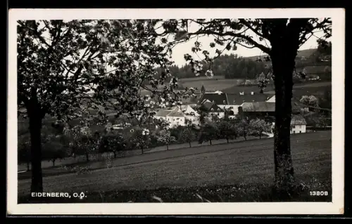 AK Eidenberg /O.-Ö., Teilansicht