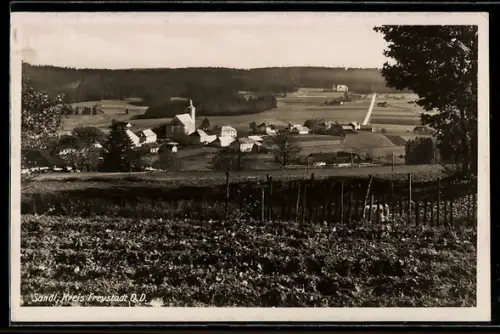 AK Sandl /Freystadt, Ortspartie mit Kirche