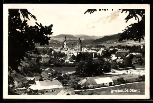 AK Freystadt /Ob.-Österr., Teilansicht mit Schloss