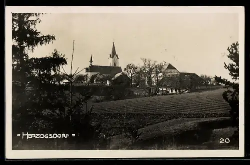 AK Herzogsdorf, Ortspartie mit Kirche