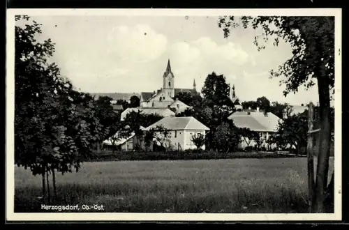 AK Herzogsdorf, Blick zum Ort
