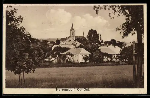 AK Herzogsdorf, Blick zum Ort
