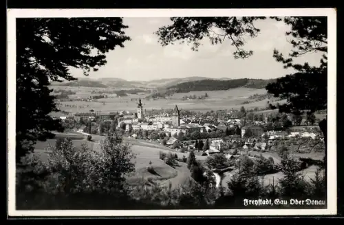 AK Freystadt /Ober-Donau, Teilansicht mit Schloss