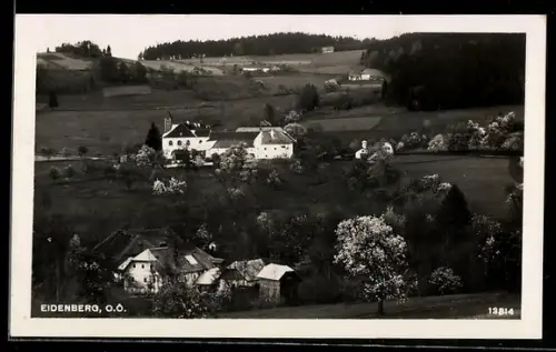 AK Eidenberg /O.-Ö., Ortspartie