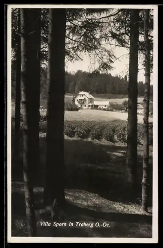 AK Traberg /O.-Oe., Ansicht der Villa Sporn vom Waldrand aus
