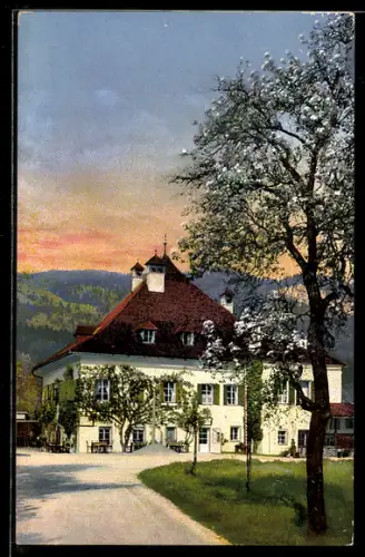 AK Goisern /Salzkammergut, Goiserer Mühle