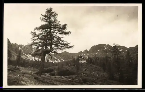 AK Kerschbaumeralm-Schutzhaus, Berghütte mit Gebirgspanorama