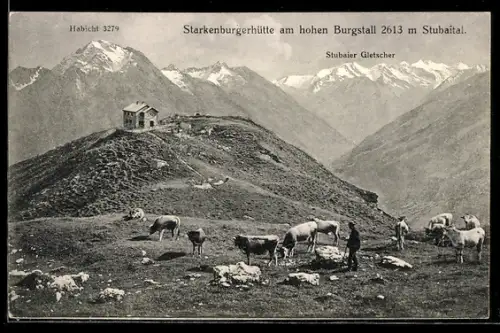 AK Starkenburgerhütte /Stubaital, Berghütte mit Habicht und Stubaier Gletscher